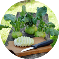 Kohlrabi-Kräuter-Medaillons (15,81) mit italienischem Nudelsalat (9,15,81) 